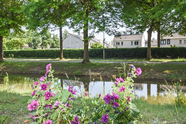 Medium property photo - Groen van Prinstererlaan 70, 5237 CG 's-Hertogenbosch
